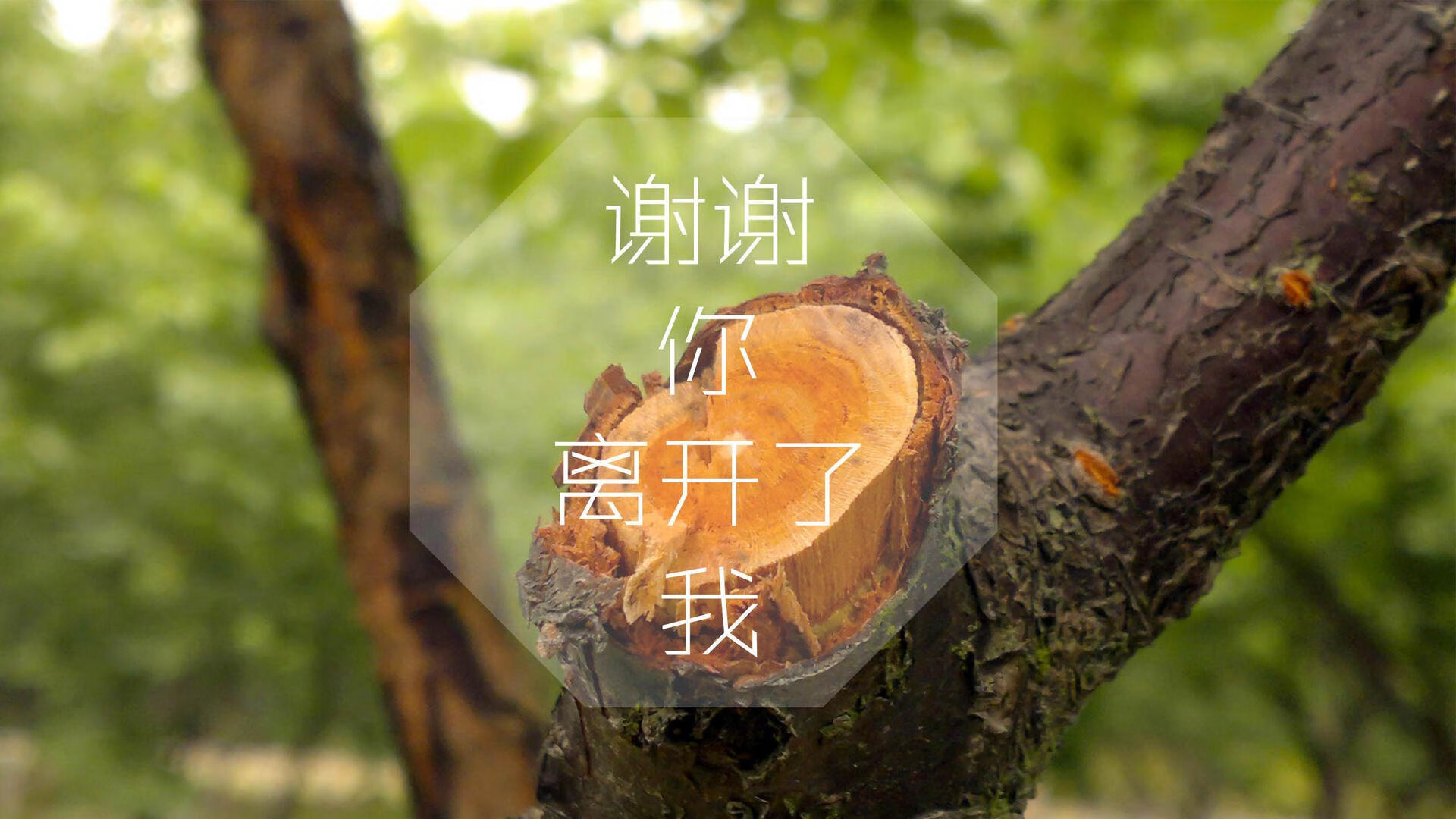 《《绝地求生》世界巡回赛，千万奖金争夺激烈》，绝地求生比赛结果2020