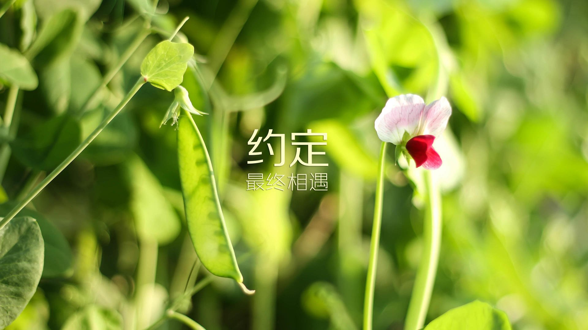 巴萨主场3-2战胜巴拉多利德，进攻端表现出色，巴萨主场3-2战胜巴拉多利德,进攻端表现出色的球员