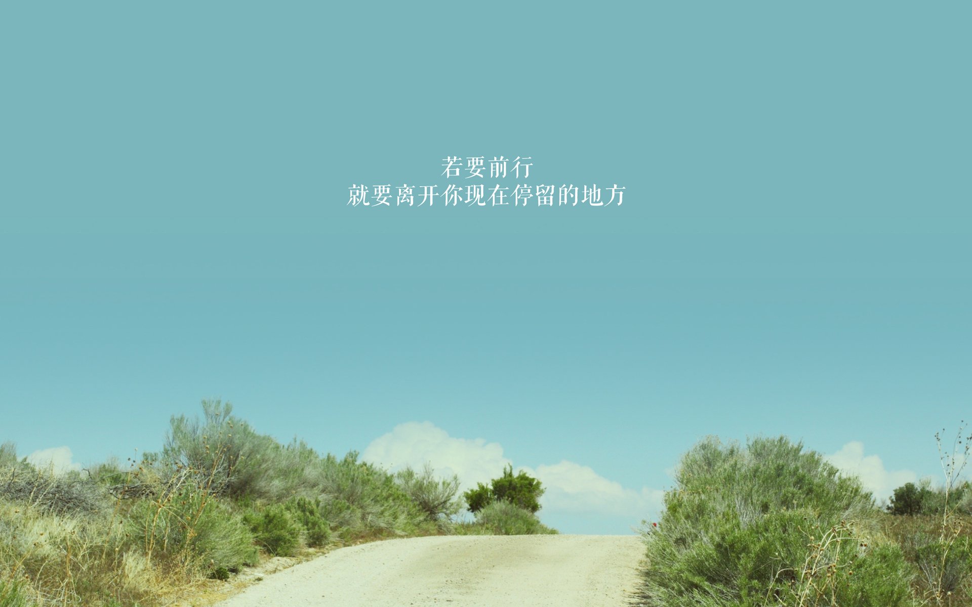 球队日常训练是否应直播化，球队的训练计划包括哪些