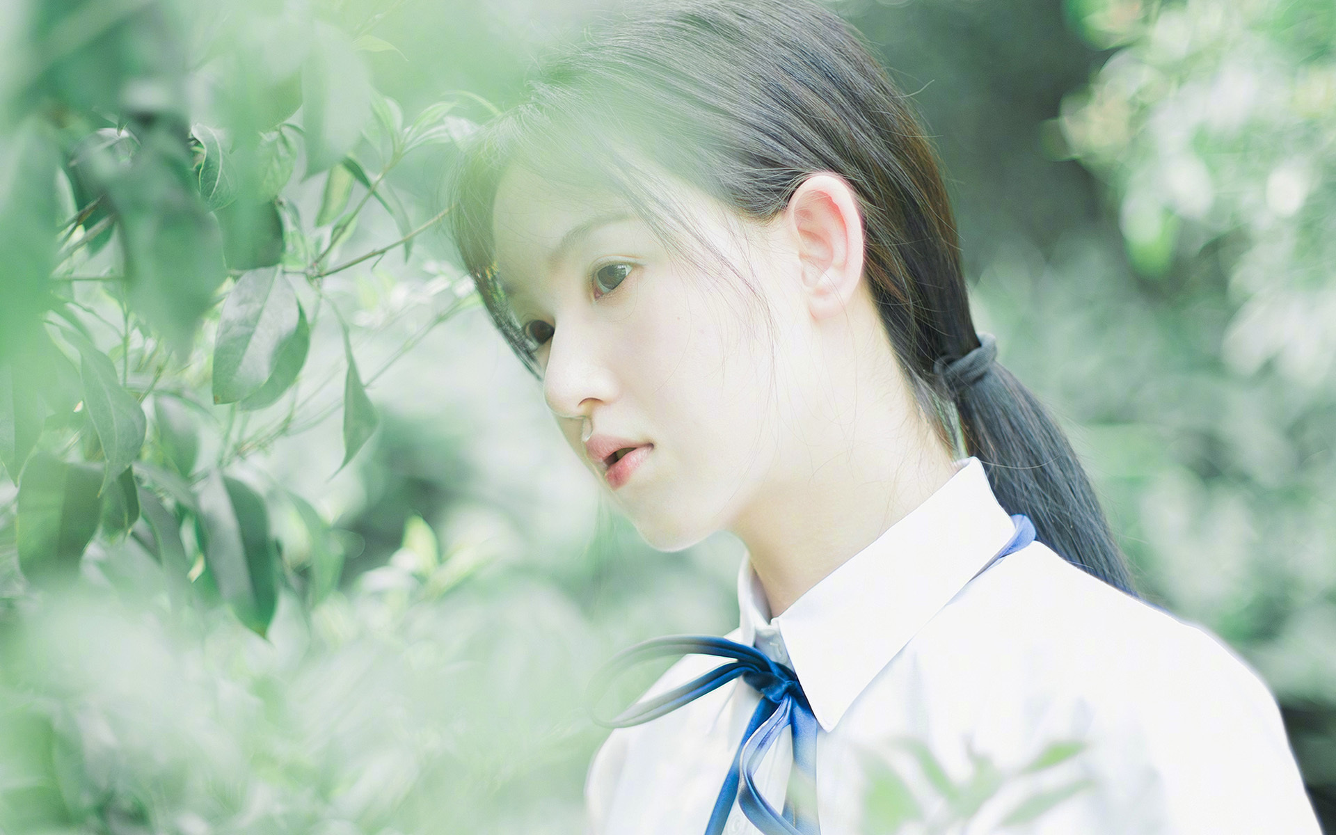 韩选手星际争霸赛事成绩汇总,星际争霸韩国比赛