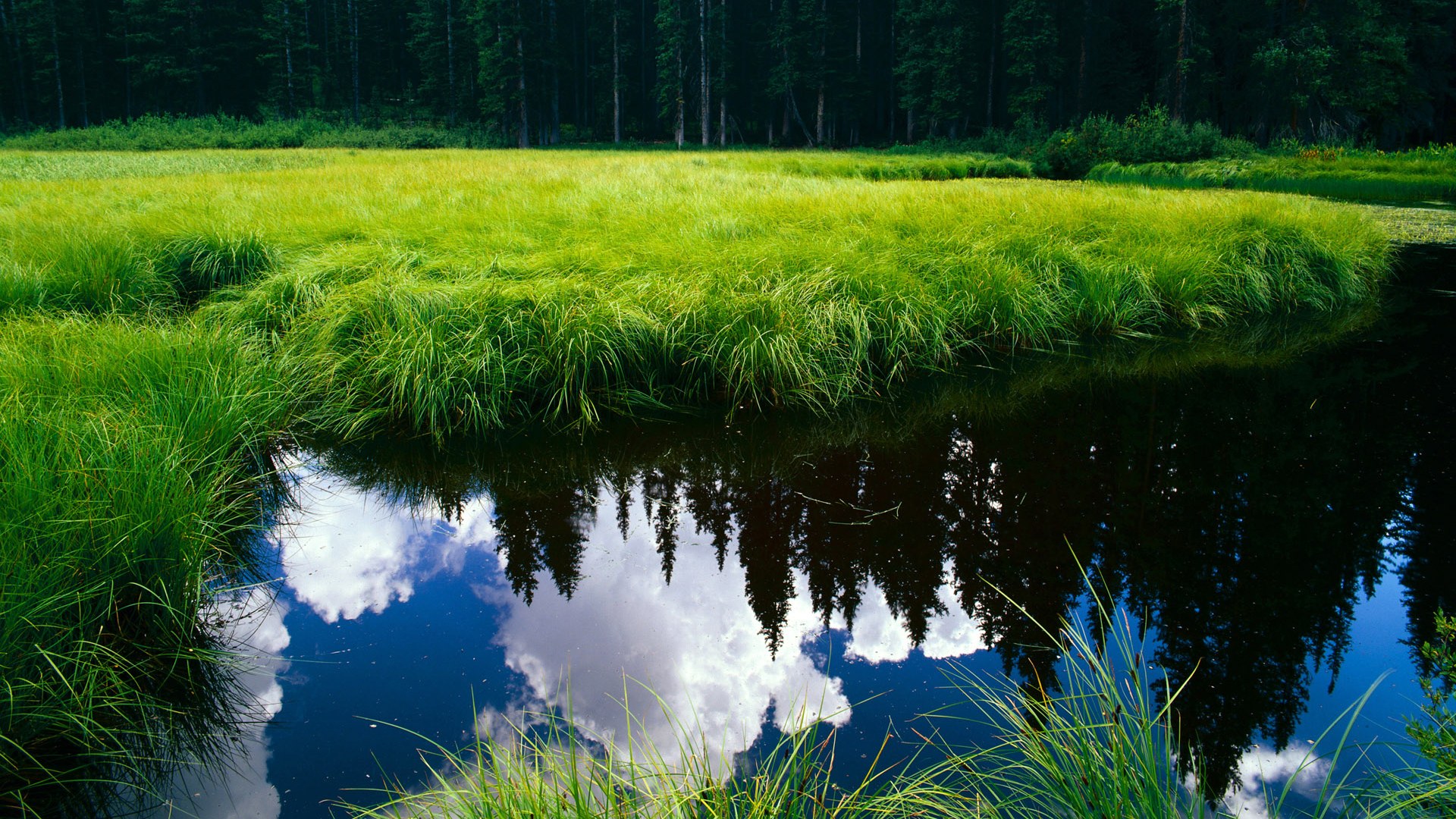 九游游戏中心-英超青训体系心理压力管理促进技术动作稳定性的探索，英超青训球员定义