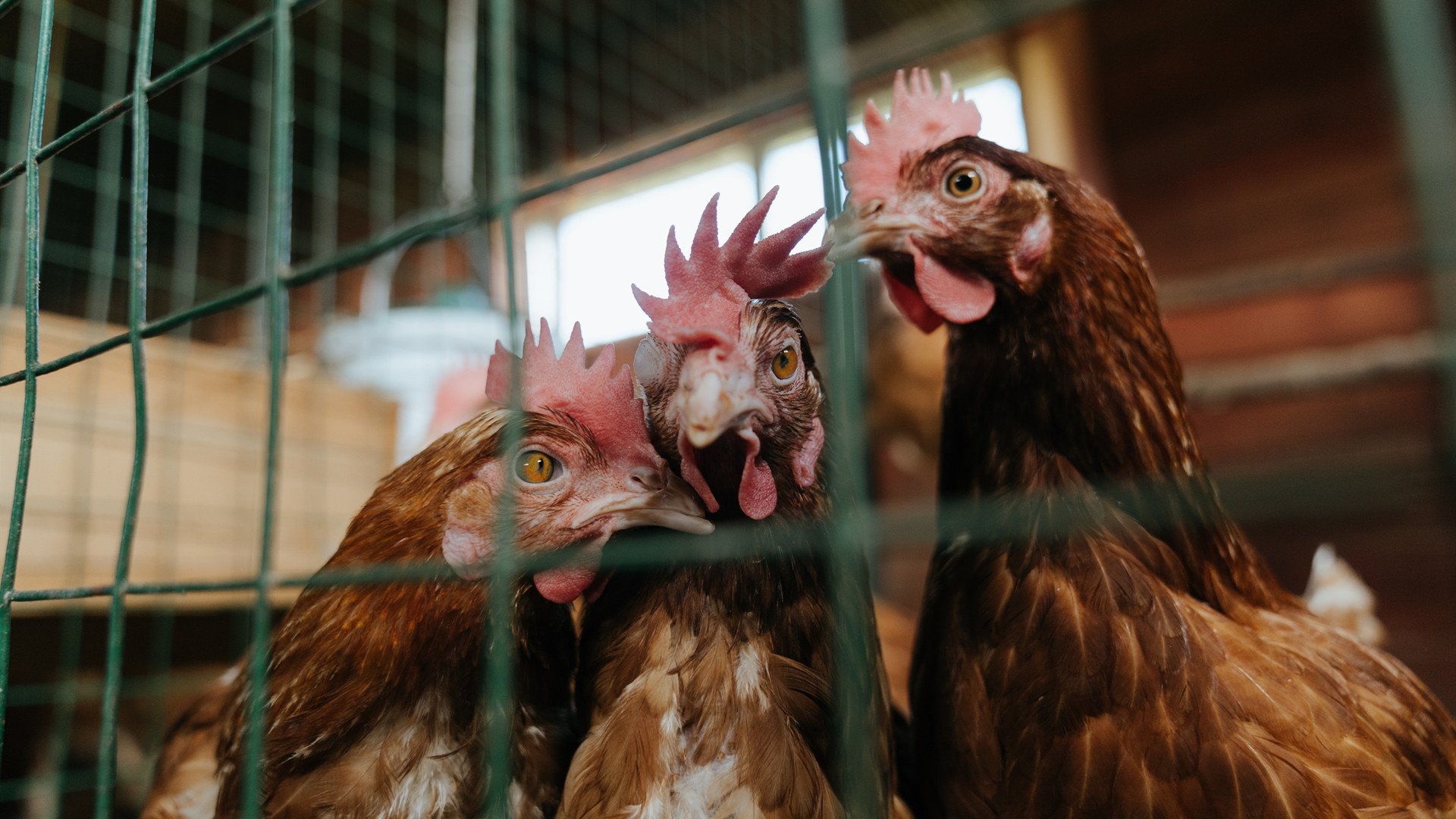 高校体育智能监控平台建设,学校体育智能设备