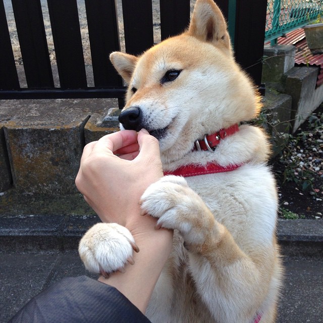 九游登录中心-体育新闻中心上线体育数据图表可视化工具，专业的体育新闻网站