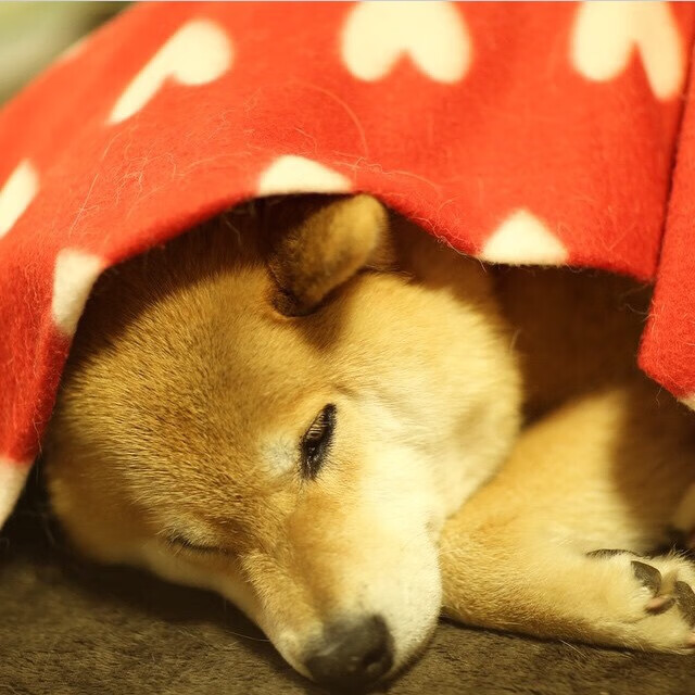 体育新闻中心推动体育新媒体内容多渠道融合发展,体育新媒体营销