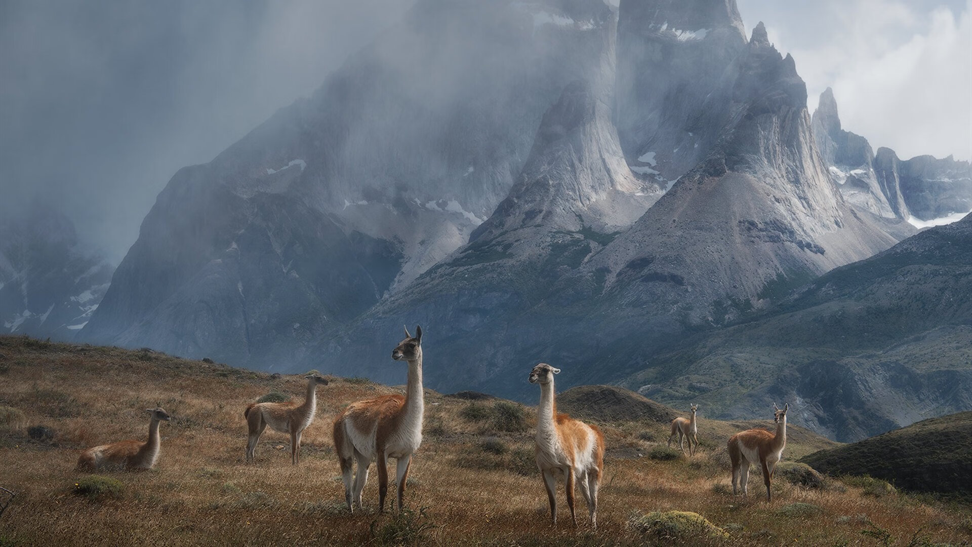控卫主导节奏是否优于集体自由发挥,控卫主导节奏是否优于集体自由发挥运动
