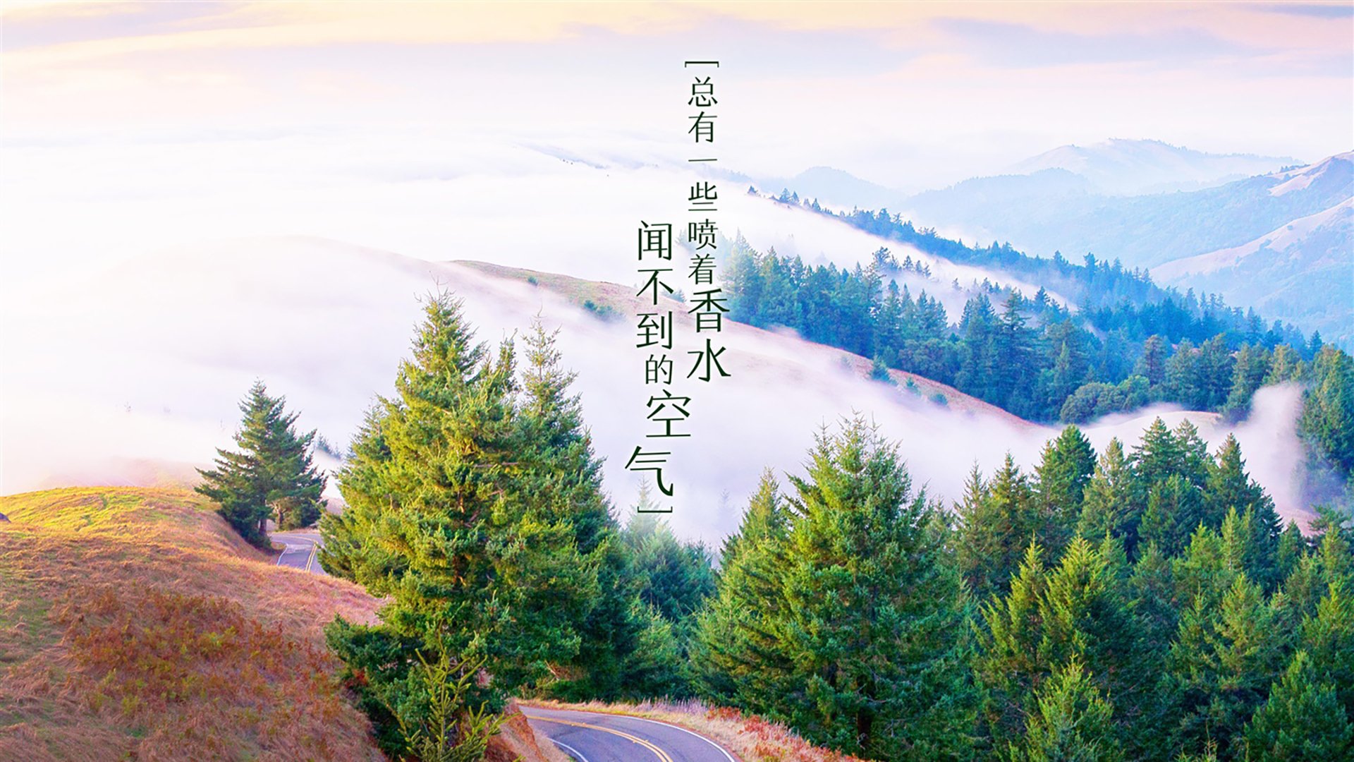 冈比亚男篮在非洲预赛中拼搏，迈向全球舞台