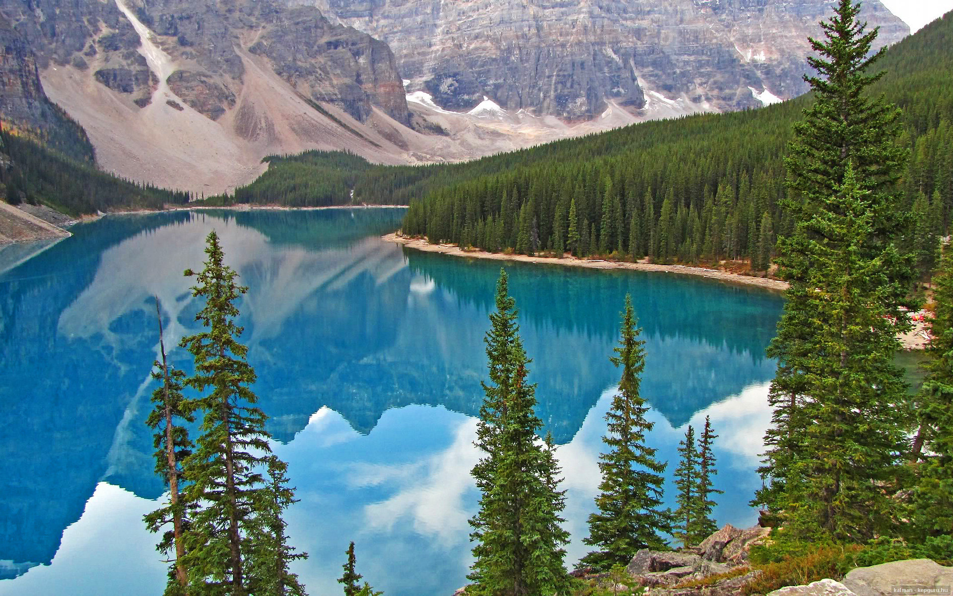 意大利蛙泳快手切拉苏奥洛速度惊人