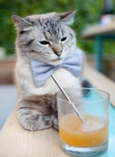 曼联后卫突破助攻展现多面技术能力，曼联队后卫