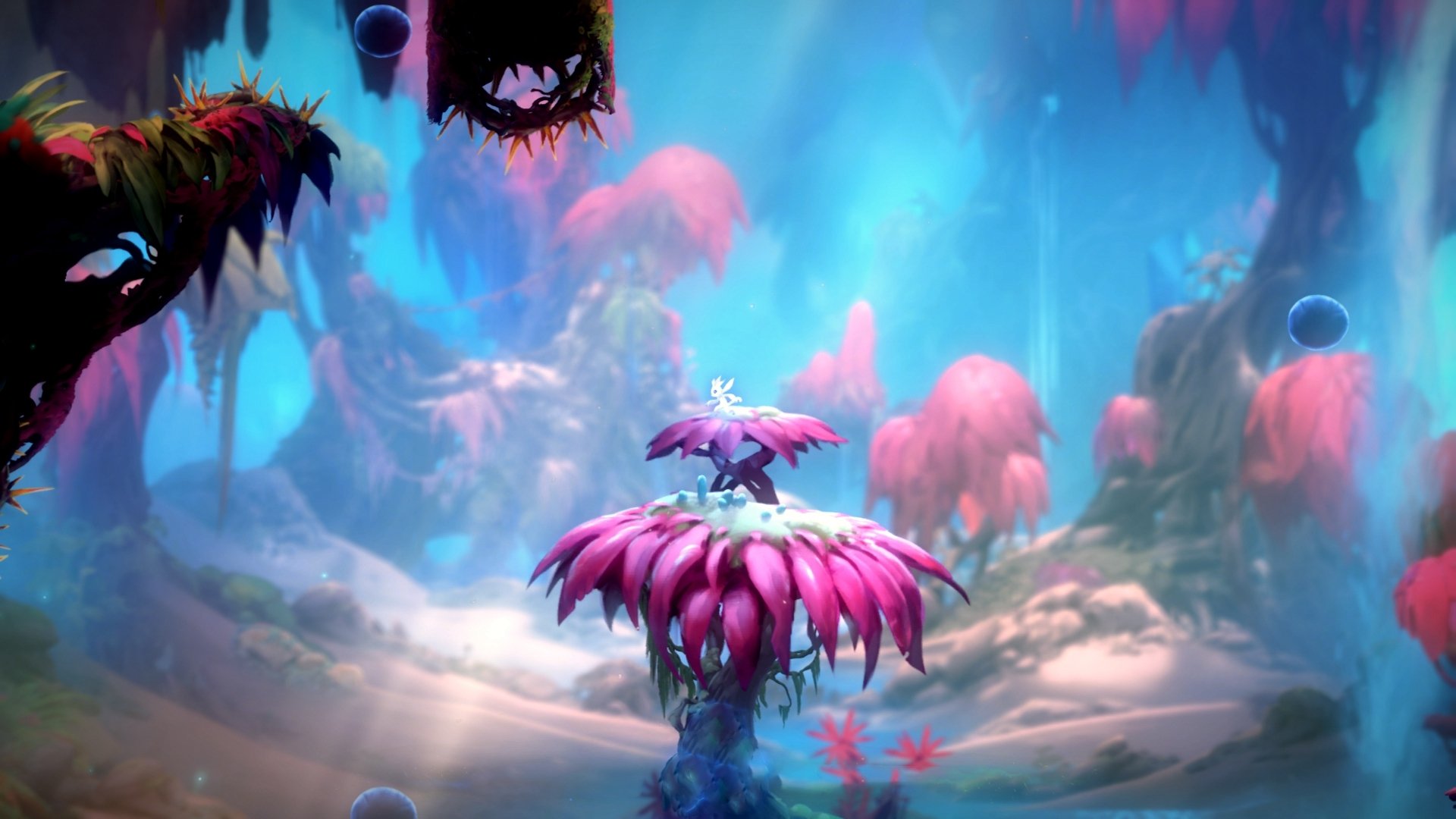 王楚钦状态回归巅峰全运会羽毛球，王楚钦全运会2021参加几项