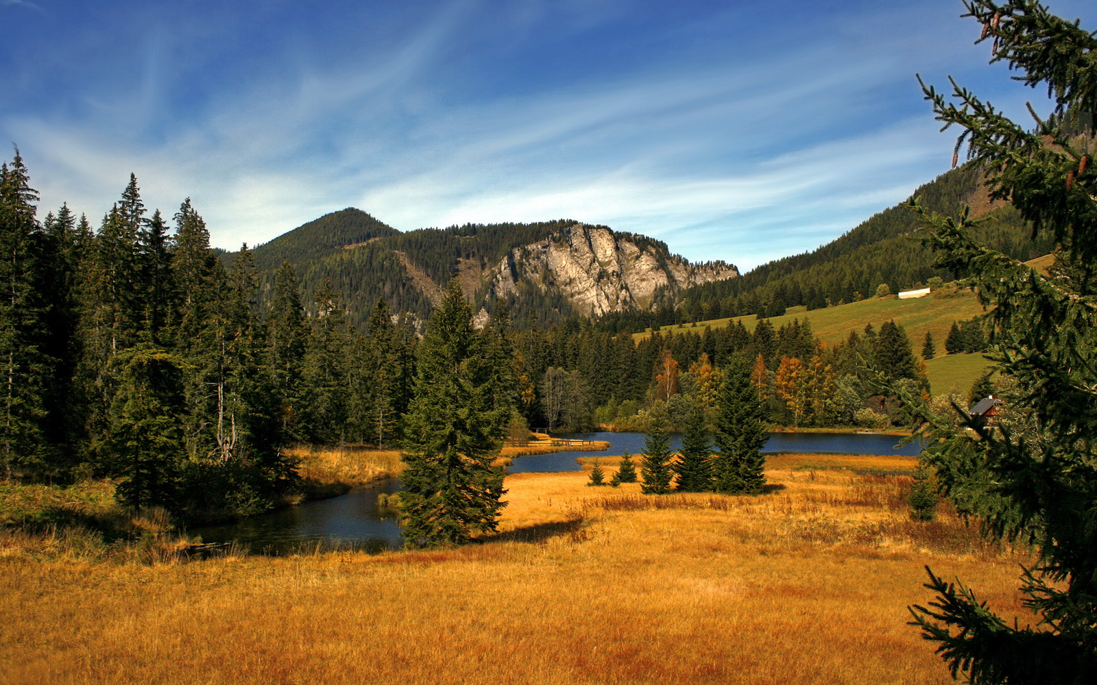 青训选拔更注重球员潜力而非阶段性成绩，青训选拔机制